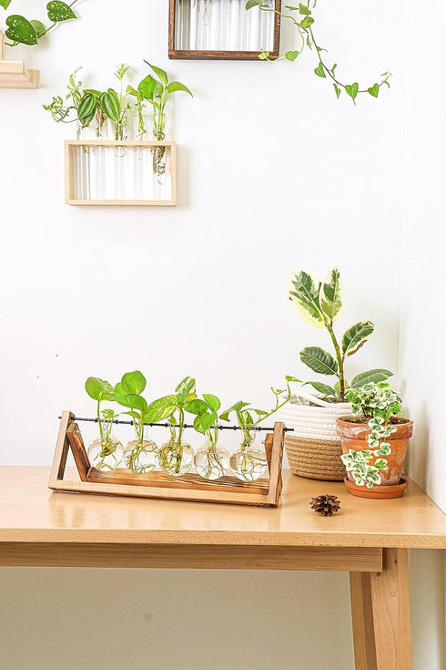 Glass Planter Bulb Vase with Retro Solid Wooden Stand and Metal Swivel Holder for Hydroponics Plants